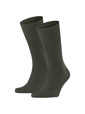 Falke Socken 2er Pack in Grün mel.