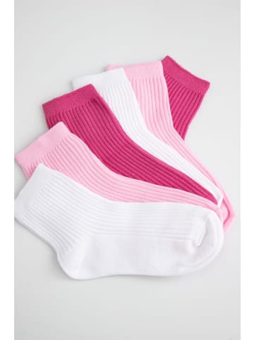 Coccodrillo Socken in bunt