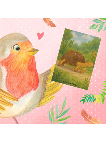 Mr. & Mrs. Panda Grußkarte Schildkröte MHerzieren Design ohne S... in Weiß