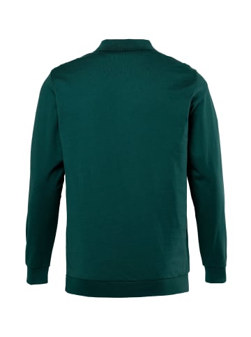 Men Plus Poloshirt in tannengrün