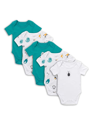 Schlummersack Bio Baby-Bodys kurzarm 5er-Pack in Türkis