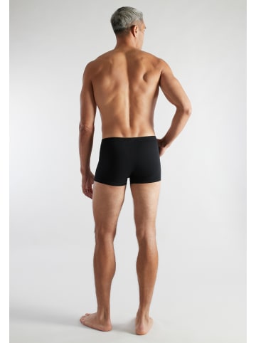 CECEBA Pants 10Er Pack Daytona in schwarz-dunkel-uni
