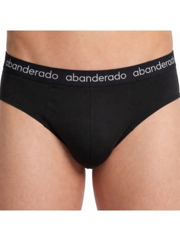 Abanderado 2er-Set: Slip in Multicolored