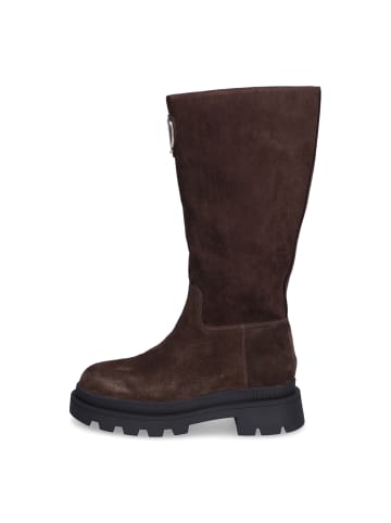 BLAUER USA Stiefel Kimmel in Dunkelbraun