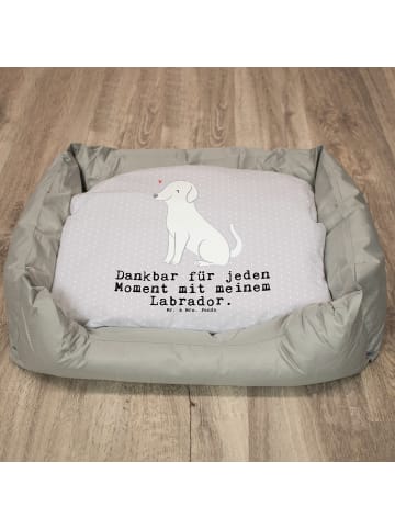 Mr. & Mrs. Panda Haustierkissen Labrador Moment mit Spruch in Grau Pastell