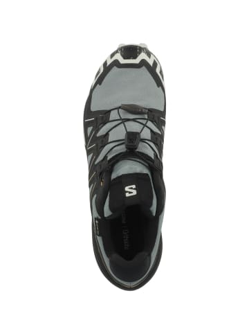 SALOMON Laufschuhe Speedcross 6 GTX in multicolor