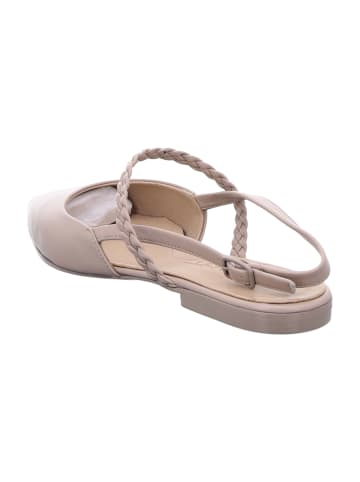 Pomme d'or Ballerinas in Beige