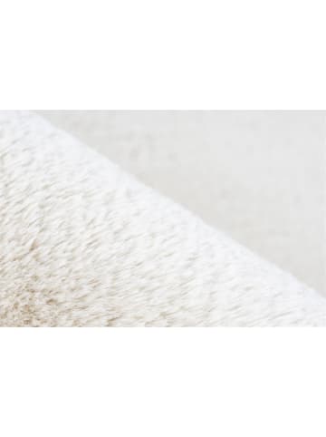 Teppich Boss Hochflor Teppich Eleni 525 Creme - Creme