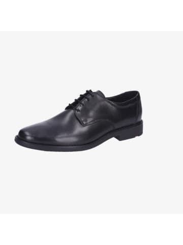 LLOYD Schnürschuhe Elegant in schwarz