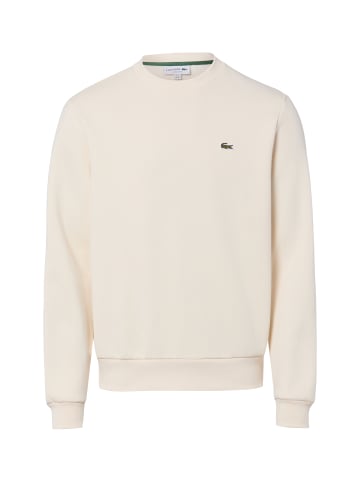 Lacoste Sweatshirt in vanille