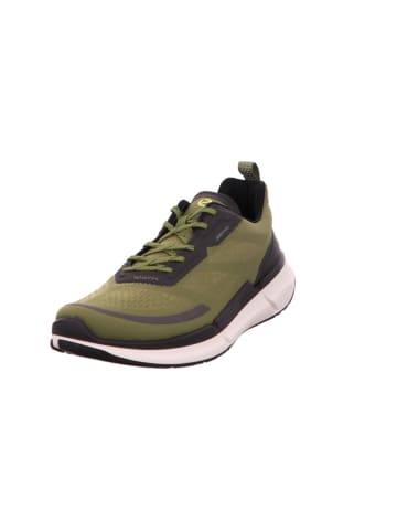 Ecco Schnürschuh in khaki