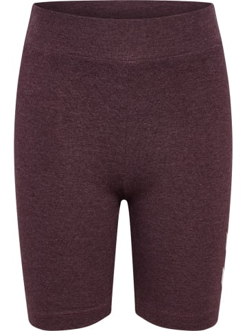 Hummel Kinder Short "Logo Short Tights" in Braun
