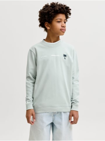 JACK & JONES Junior Sweatshirt in Aqua Gray