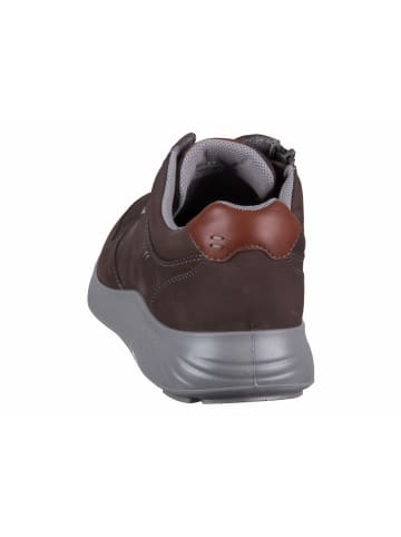 Jomos Sneaker für Herren in dunkel-braun
