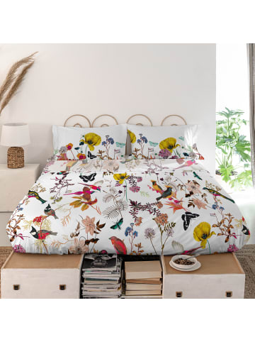 Happy Friday Birds of paradise Oberlaken