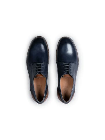 LLOYD Business Schuhe für Herren in schwarz
