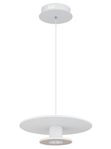 Globo lighting Hängeleuchte "CARTER" in white