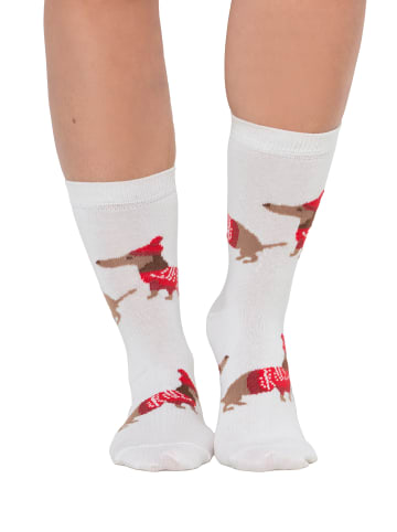 Ulla Popken Socken in rot