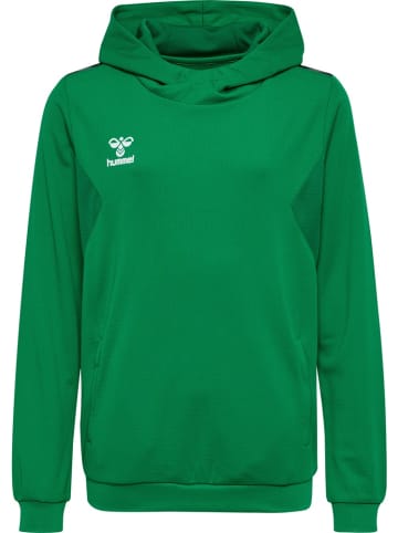 Hummel Kinder Hoodie "Hmlauthentic Pl Hoodie Kids" in Multicolor