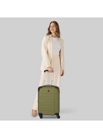 Wenger Amplar Evo 4 Rollen Kabinentrolley S 53 cm mit Dehnfalte in olive