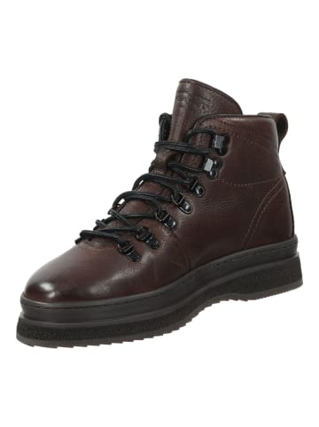Stiefelette Dunkelbraun
