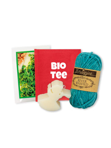 ROTH Rentner Freizeit-Adventskalender gefüllt, mit Büchlein in Bunt