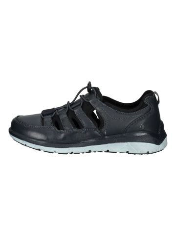 Hush Puppies Sneaker in Schwarz/Blau