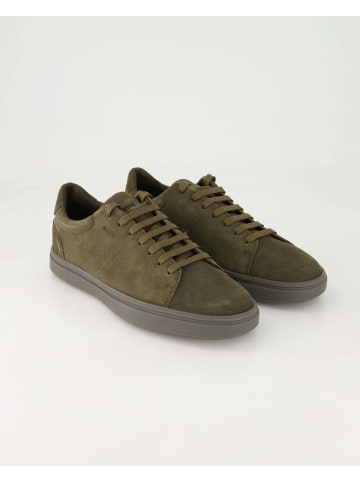 Geox Sportliche Schnürschuhe in Grün