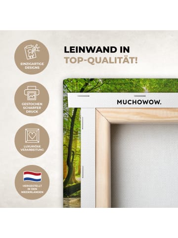 MuchoWow Leinwand bilder Waldlicht (BxH)