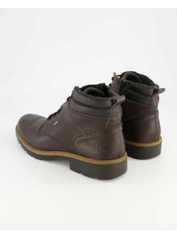Igi&Co Stiefeletten in Braun