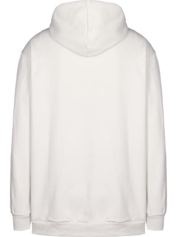 adidas adidas Kapuzenpullover in orbit grey