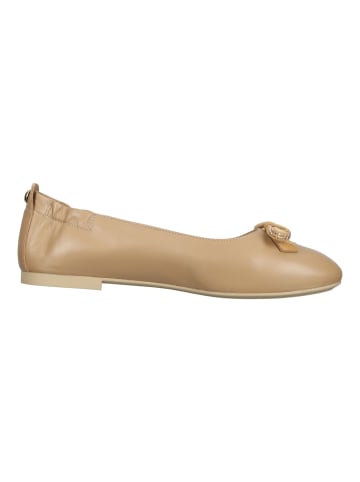 Nero Giardini Ballerinas Hellbraun