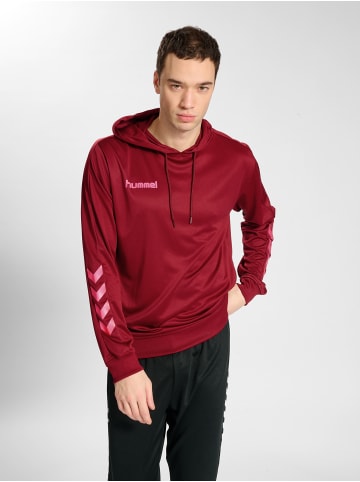 Hummel Kapuzenpullover Hmlpromo Herren in BIKING RED/RASPBERRY SORBET
