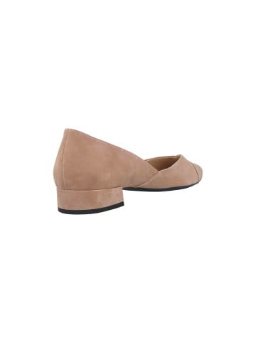 Högl Ballerinas in Taupe