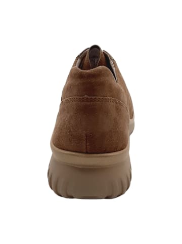 Semler Komfort Schnürschuhe in Beige