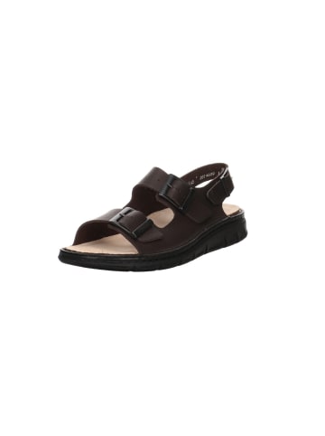 Finn Comfort Sandalen in braun