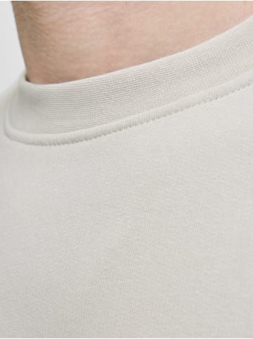 Jack & Jones Sweatshirt JJEsoho in beige
