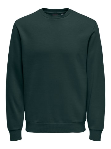 Only&Sons Basic Sweatshirt Langarm Pullover ohne Kapuze ONSCERES in Grün-4
