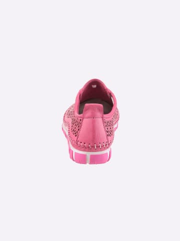Gemini Schnürschuh in fuchsia