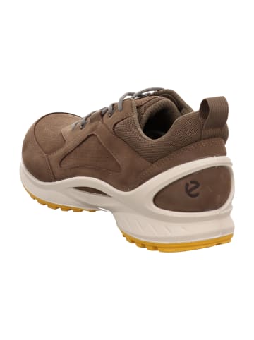 Ecco Wander- & Bergschuhe in Braun