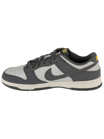 Nike Nike Dunk Low NN in Grau