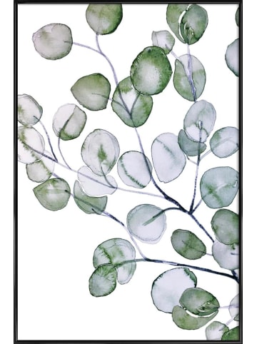 Juniqe Poster in Kunststoffrahmen "Eucalyptus Watercolor" in Grün & Weiß