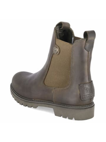 PANAMA JACK Chelsea Boots FRANCESCA IGLOO in grün