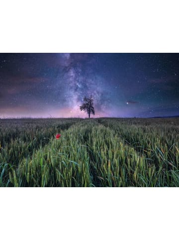 Ravensburger Puzzle 1.500 Teile Erwachsenenpuzzle Power of Nature 1500 Teile - Nachthimmel über dem Kornfeld Ab 14 Jahre in bunt