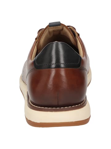 Sioux Sneaker Furatino-700 in cognac