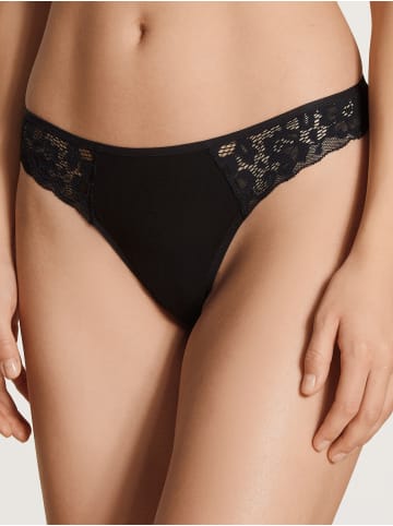 Calida String in schwarz