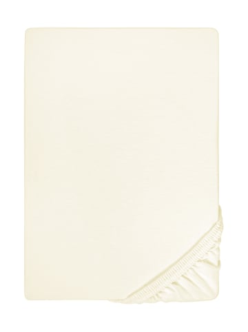 Biberna Spannbetttuch Jersey-Elastic in perlmutt