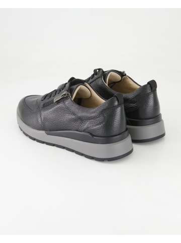 Terry Sportliche Schnürschuhe in Schwarz