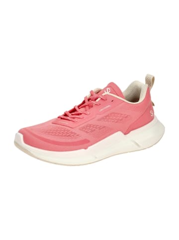 Ecco Trainings- & Hallenschuhe in Pink