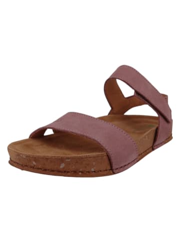 El Naturalista Sandalen violet